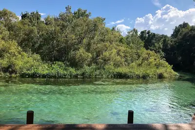 Image de Weeki Wachee Main River