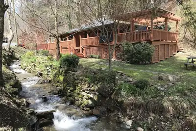 Image de Deep in the mountains, where Black Bear once roamed abundantly