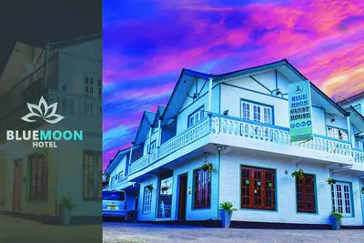 Image de Blue Moon Hotel