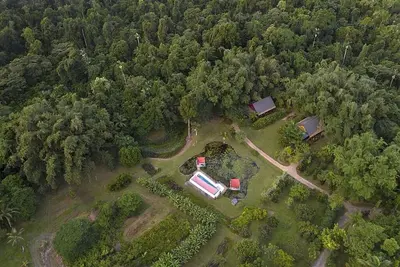 Image de Tranquilty - Rainforest