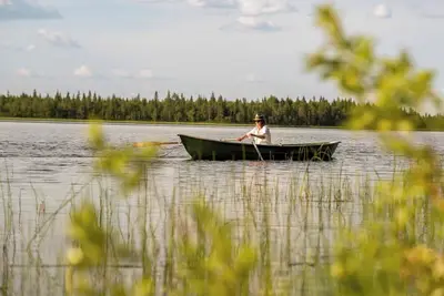 Image de Metsä Kolo