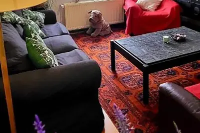 Image de Studio professionnel près de l'Otan
