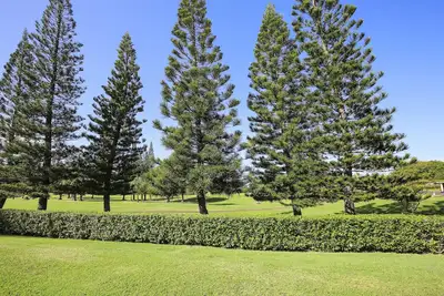 Image de Turtle Bay Fazio First Tee 13