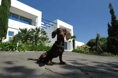 Image de House