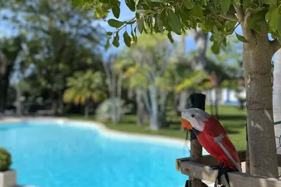 Image de Country House - Quinta das Tílias