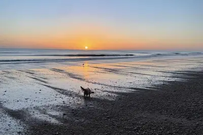 Image de Fig Tree House, Deal, Kent