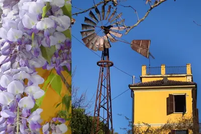 Image de Country House in the Alba countryside in the Unesco area