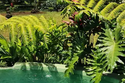 Image de Villa Koku'U with private pool on the Taravao Plateau