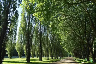Image de Louer un charmant 3 pièces de 62m²  ( à  3m  du Rer B \"Parc de Sceaux\")