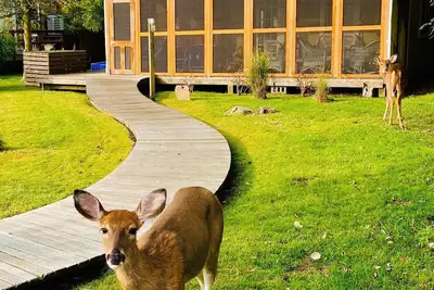 Image de Charming Fire Island Retreat