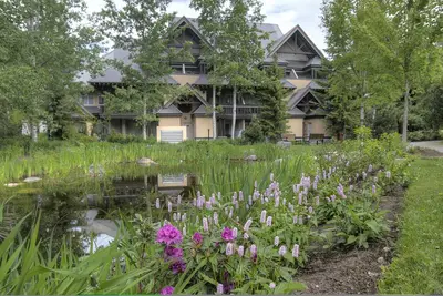 Image de Beautiful 1st-floor condo with fireplace & patio, short walk or shuttle to lifts