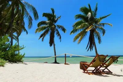 Image de Luxury House Rental Private Beach