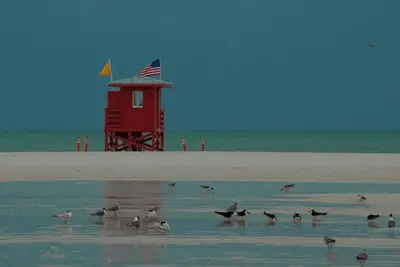 Image de Steps to 2025 #1 Rated Beach in Usa Fun-n-Sun Modern 2+2 Condo Pool Pickleball