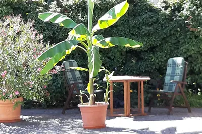 Image de Sattelmair vacation apartment