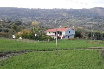 Image de Villa Rosetta in the middle of nature, surrounded by palm and olive trees