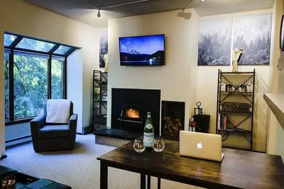 Image de Contemporary Mt Baker Condo