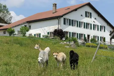 Image de Gîte - Ferme O'Clés by Interhome