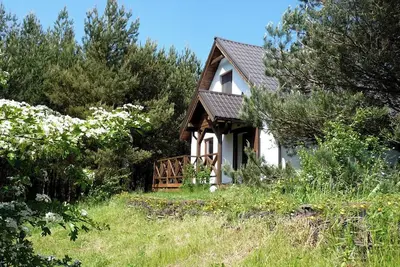 Image de Cottage in a Pine Forest - In quiet greenery