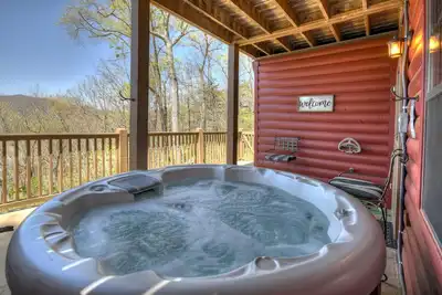 Image de A Birds Eye View - Cherry Log, Ga