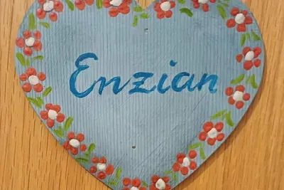 Image de Holiday apartment Enzian - holiday home farm Bogstlhof