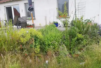 Image de Vacation apartment/apartment for 4 guests with 75m² in Wittenburg (144958)