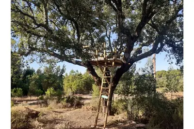 Image de Árvore dos Sonhos - Tree House