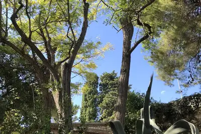 Image de Cottage dans le vert Ă deux pas de la mer