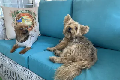 Image de 1 Bedroom Pet Friendly condo steps to the beach sleeps 4.