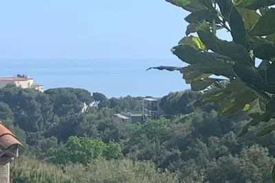Image de Pleasant large one-room apartment between sea and countryside.