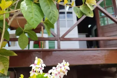 Image de Noronha Forest House