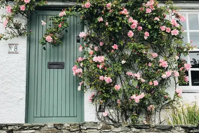 Image de Lilac Tree Cottage, Greyabbey, Strangford Lough, Co Down, N. Ireland