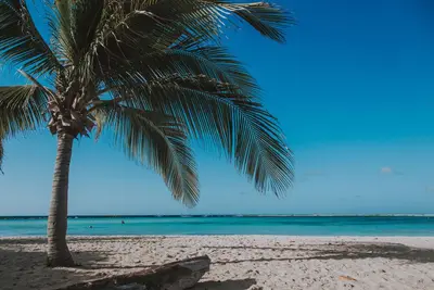Image de A Modern Beauty at the Sea. 1bdr Blue-535