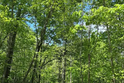 Image de Dog friendly Sylva Nc Mountain Retreat<br>Near Wcu and downtown