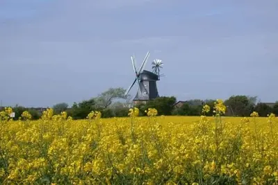 Image de .