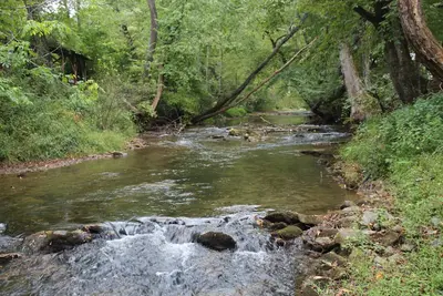 Creekside Cottage just steps from Fightingtown Creek & 10 minutes from downtown.