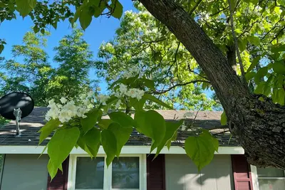 Image de Cozy Cottage - Breakfast (continental) Kayaks, Bikes Complimentary
