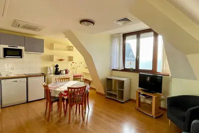 Image de T2 calme, vue ville et lac, animaux admis, parking et climatisation
