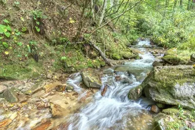 Image de Keaton Creekside Cottage - Cozy, Charming, Incredible Location In Maggie Valley