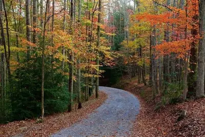 Image de Mountain retreat! Modern House 2 hours from Dc