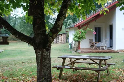 Image de A l'ombre des grands chĂŞnes ou devant un beau feu de bois