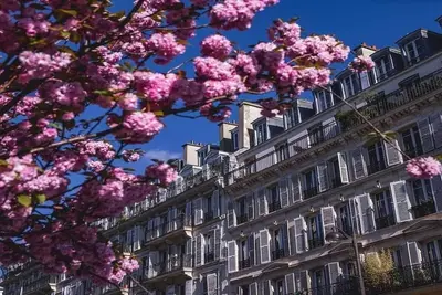 Image de Modern, Plush, Luxe& Top Floor- A Signature Marais Home
