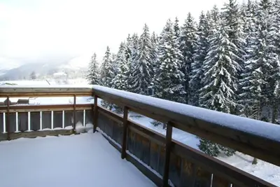 Image de Appartement Les Adrets-Prapoutel, 2 pièces, 6 personnes
