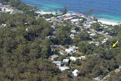 Image de Black Wattle at Hyams Beach
