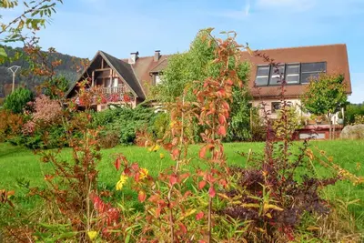 Image de Homerez - Appt Thannenkirch, vue montagne