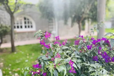 Image de Villa Cycas