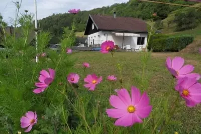 Image de Gîte cosy à La Bresse - Proche sentiers, rivière et piste cyclable, idéal pour randonnées et séjours en famille