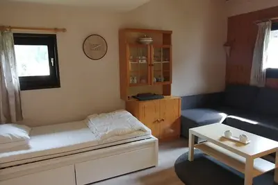 Image de Grand duplex 44m² 5 pers avec parking au centre de la station