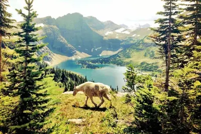 Image de Luxury Condo in the Heart of Downtown Whitefish!