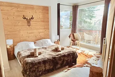 Image de Appartement en duplex classé 4 étoiles et nouvellement rénové.