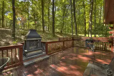 Image de Bear Watch - Blue Ridge